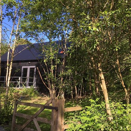 Alder Cabin Kilkenny Exterior photo